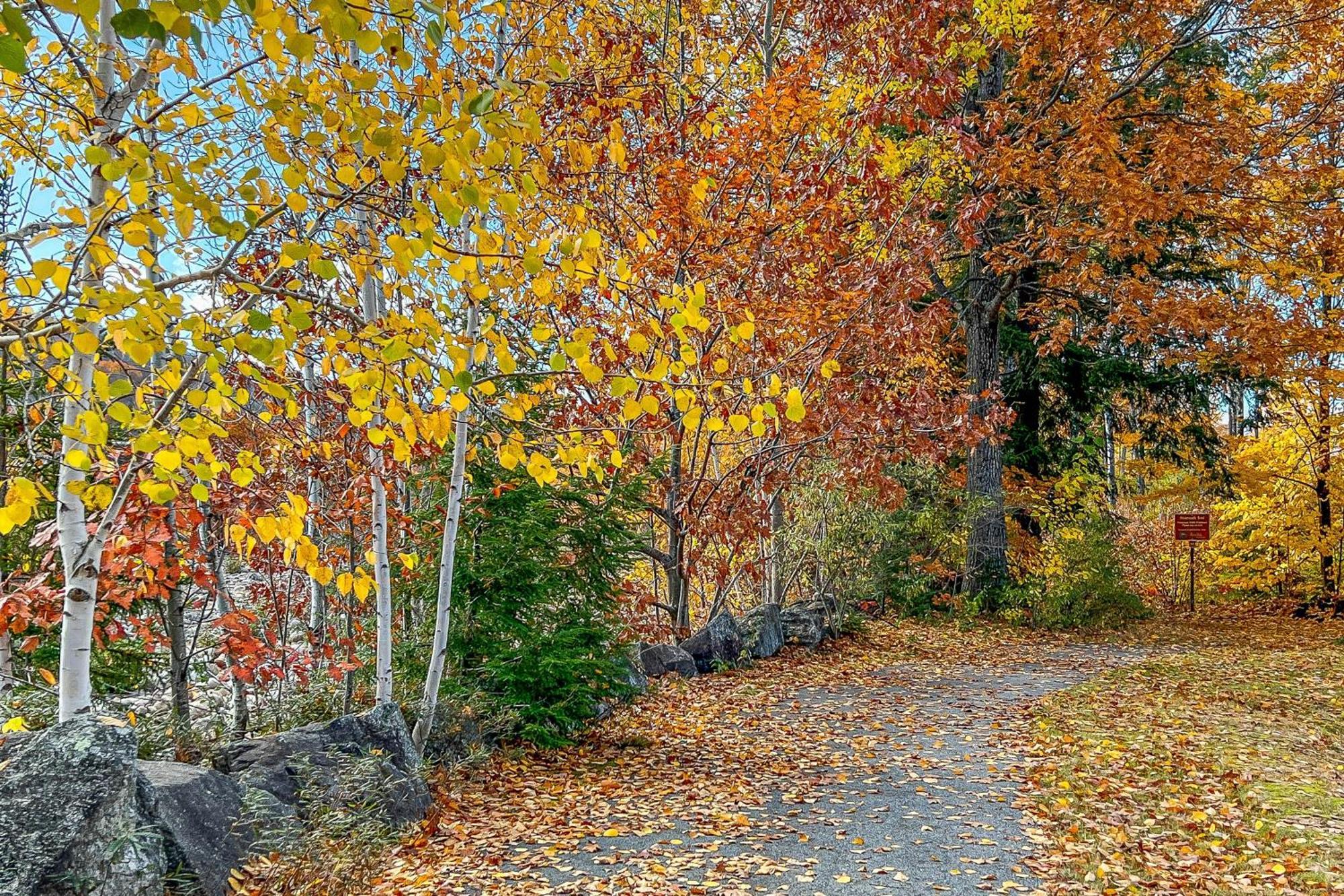 لينكون Autumn Colors Condo At Rivergreen المظهر الخارجي الصورة